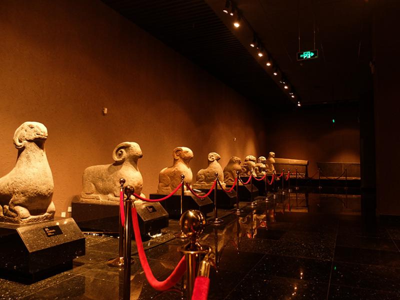 1_20141117161128_xu5gt