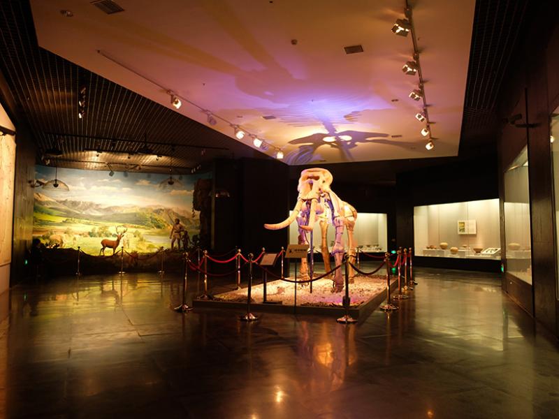 1_20141117151118_xye5i